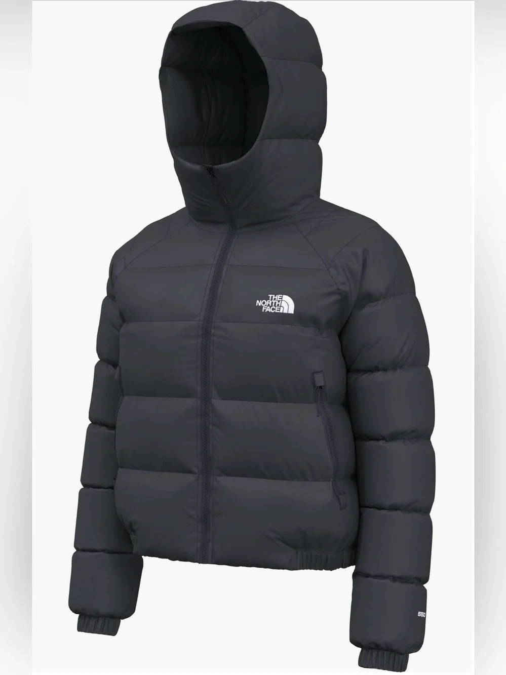 The North Face NEW Size M Hydrenalite Hooded Down Jacket $250 MSRP